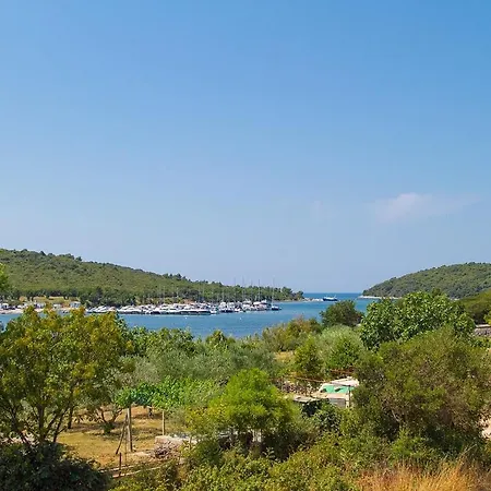 Guest house Apartments-anna 3*