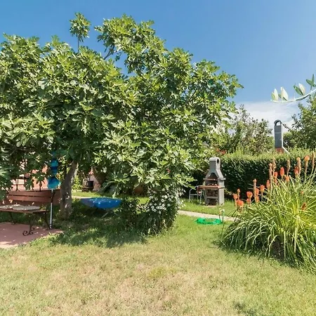 Apartments-anna 3* Banjole