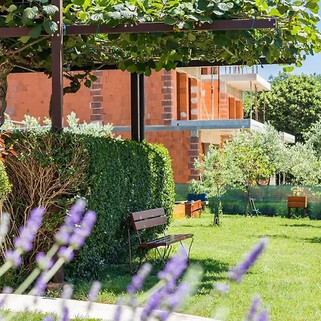 Apartments-anna 3* Banjole