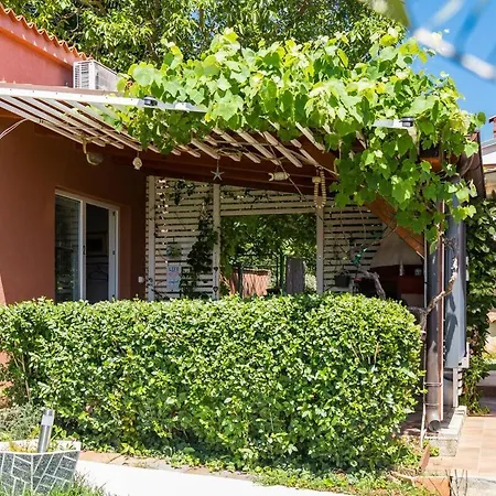 Guest house Apartments-anna